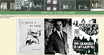screen_site_levi_theatre