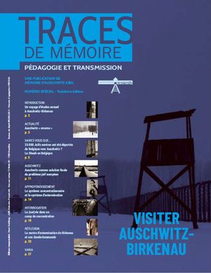 traces visiter auschwitz 3