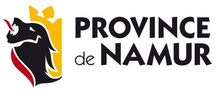 namur logo