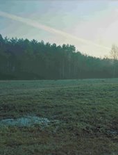 expo cclj archives paysage