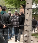 Train des 1000 - Auschwitz