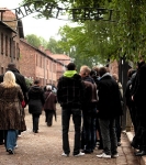 Train des 1000 - Auschwitz