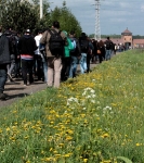 Train des 1000 - Birkenau