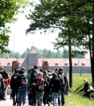 Train des 1000 - Birkenau