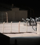 Train des 1000 - Spectacle