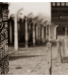 Voyage d’études à Auschwitz-Birkenau
