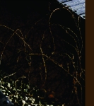 Auschwitz I : À l’intérieur des baraquements