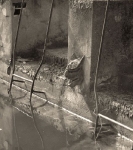 Auschwitz I