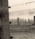 Auschwitz II-Birkenau