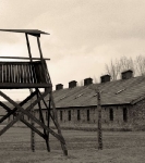 auschwitz2015_3-4