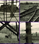 auschwitz2015_3-0