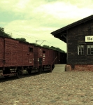 In het spoor van de Shoah in Polen_15