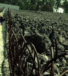 In het spoor van de Shoah in Polen_29