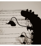 Studiereis 2012: Auschwitz I