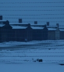 Studiereis 2013: Birkenau voor zonsopgang