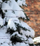 Studiereis 2013: Indrukken van Auschwitz