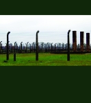 Studiereis 2014: Auschwitz II Birkenau: Oneindigheid