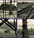 Auschwitz II-Birkenau