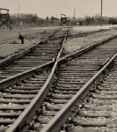 Auschwitz II-Birkenau