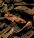 Studiereis naar Auschwitz-Birkenau