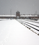 auschwitz5