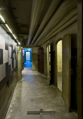 Stichting Auschwitz Stichting Auschwitz De Muurtekeningen Van