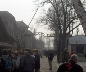 activites auschwitz3